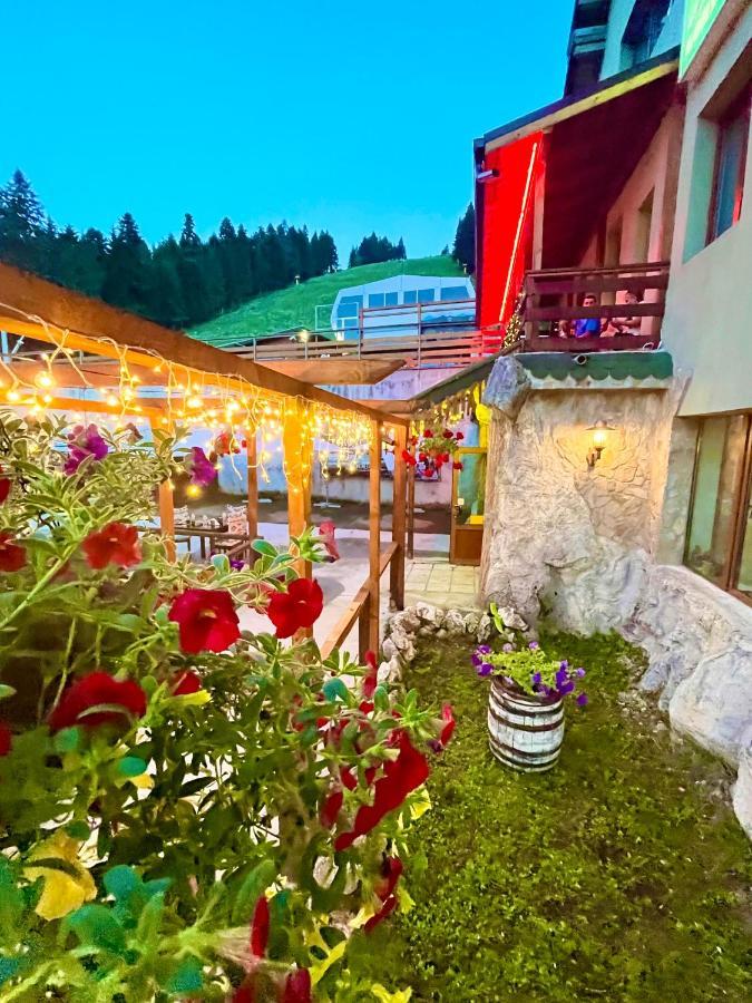 Hotel Forest Star On The Ski Slope Borovets Exterior photo