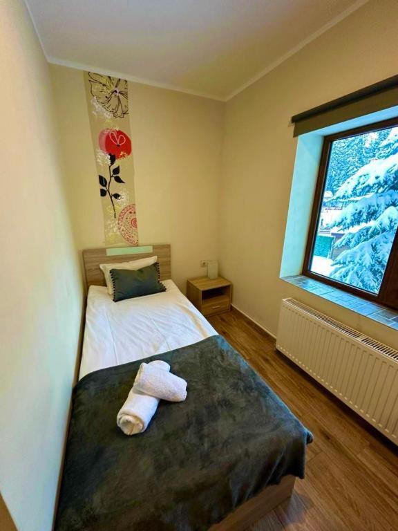 Hotel Forest Star On The Ski Slope Borovets Exterior photo